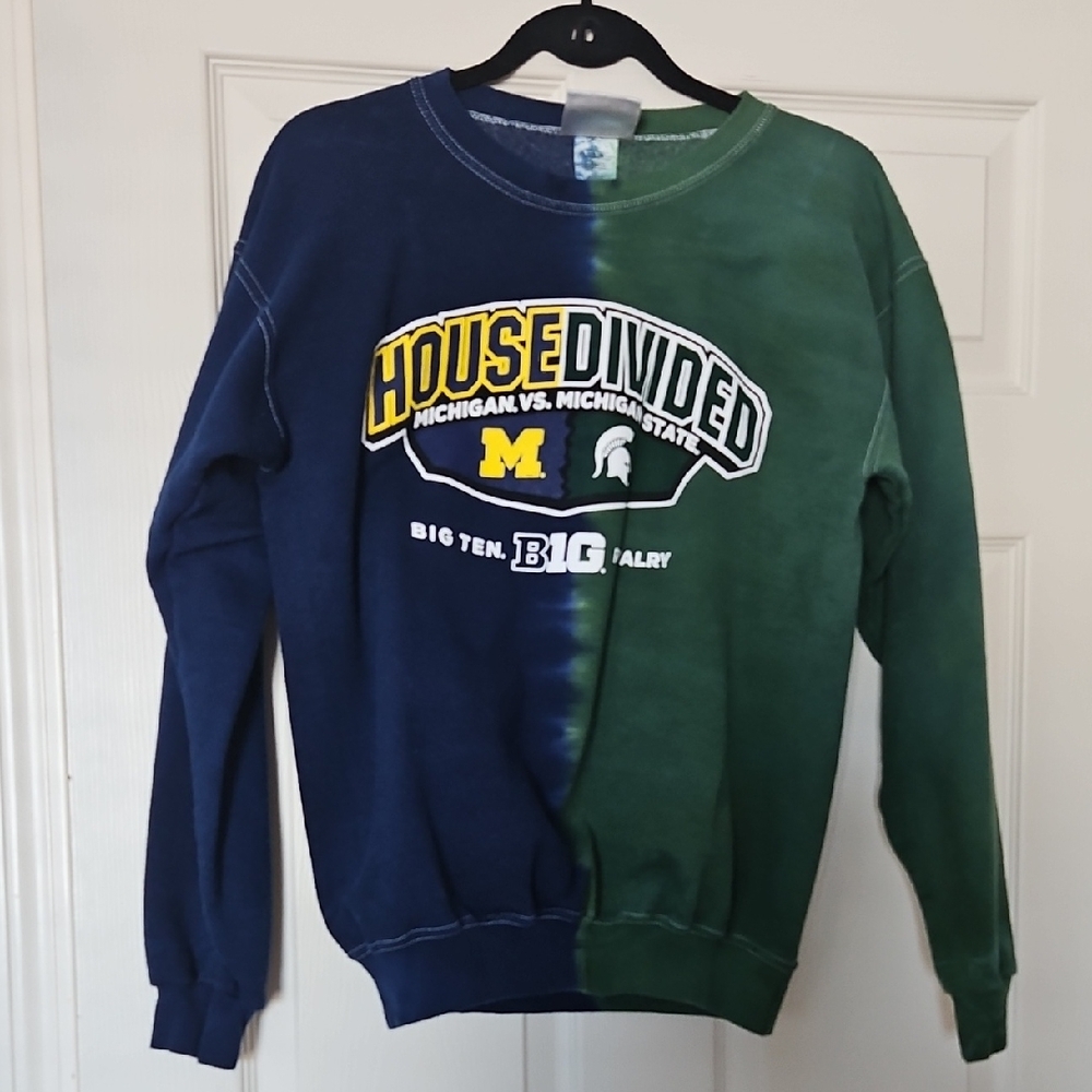 Hanes House Divided Men's Crewneck Sweater - Blue and Green